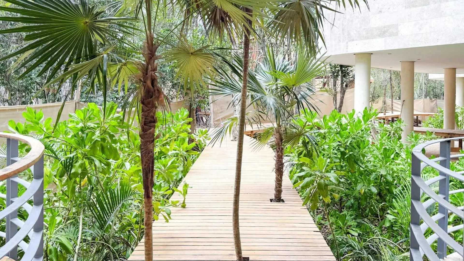 Kaabin Jungle Living C5 Apartment Tulum 0*,  Mexico